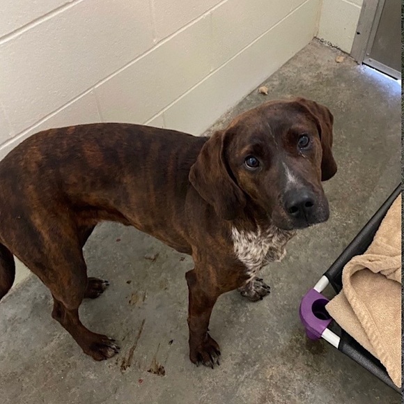 Posh Ambassador for Jane Iredale 🥰 - Picture 15 of 16